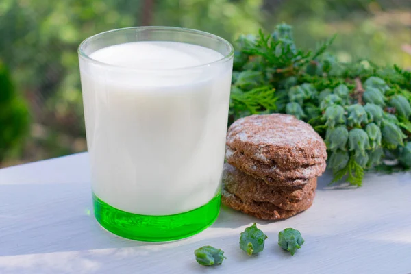 Ett Glas Mjölk Med Kakor Bordet Naturlig Bakgrund Grönska — Stockfoto