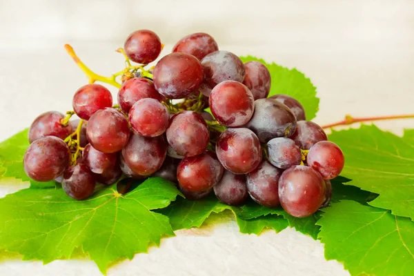 Beyaz bir arka plan üzerinde yaprakları ile mavi, olgun üzüm bir dalı. Close.