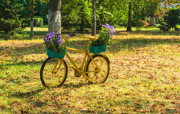 Yellow bike and basket with lilac flowers, with a park. Concept of autumn walk.