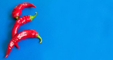 Mavi arka planda kırmızı biber. Kopyalama alanı.