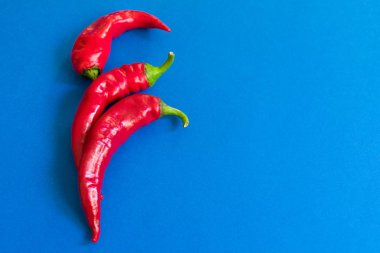 Mavi arka planda kırmızı biber. Kopyalama alanı.
