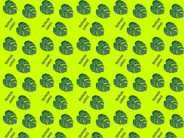 Bezproblémové Vzory Monstera Tropické Listy Světle Zeleném Pozadí — Stock fotografie