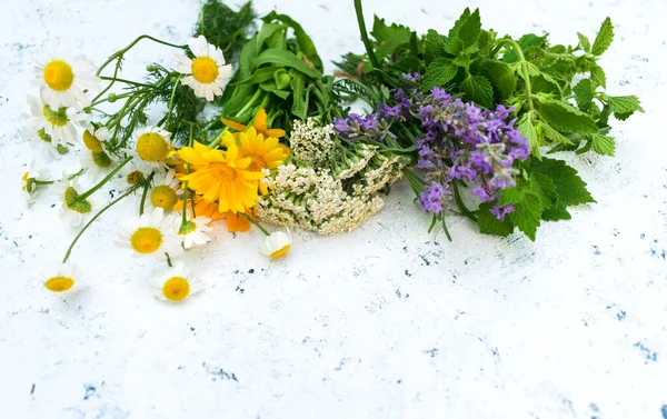 Healing herbs and flowers on a white flne. Vibro focus. Copy space.