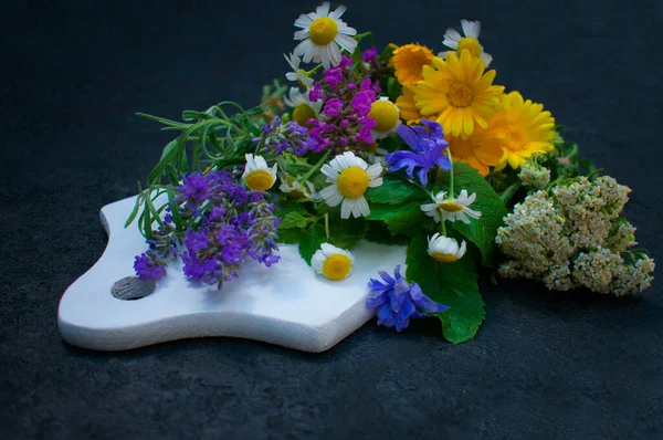 Healing herbs and flowers on a white wooden board.Cool plan.