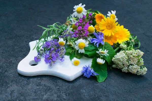 Healing herbs and flowers on a white wooden board.Cool plan.