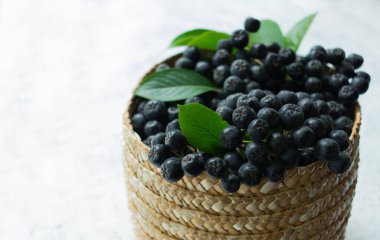 Olgun Aronia Meyveleri Sepet Beyaz Arkaplan Faydalı Siyah Rowan Çilekleri Kopya Boşluğu