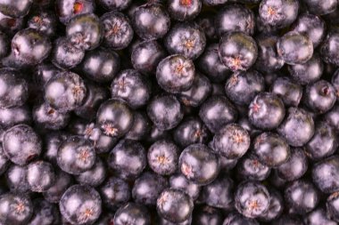 Siyah Aronia üzümlerinin doğal arka planı. Üstten bakınca kullanışlı siyah rowan çilek manzarası.