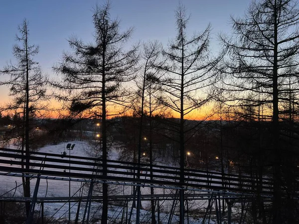 Winter landscape with snowy trees in the foreground and a bridge in the background