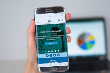 Telefon ekranında Disa şirketin web sitesi.