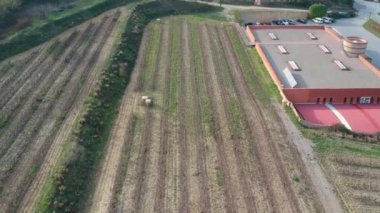 Üzüm çalılar şaraphane yanında alanda bir satırda büyür. Hava