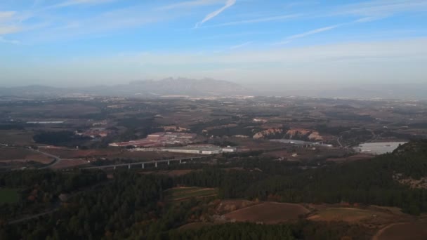 Campos de uva desde una gran altura, día soleado — Vídeo de stock