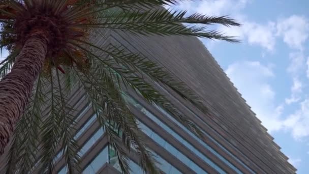Висока скляна будівля поруч з пальмою на тлі блакитного чистого неба. офісна будівля — стокове відео
