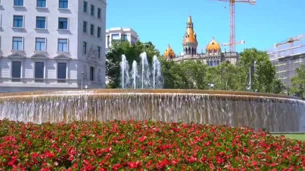 Fontanna miejska na placu katalońskim obok pięknego kwiatu, Barcelona — Wideo stockowe