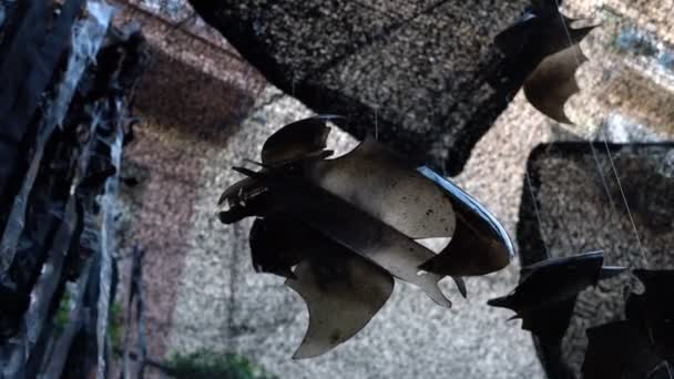 Halloween black bats made from recycled plastic bottle and plastic bag — Stock Video