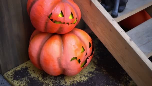 Pumpkins and a black cat at the porch of the house during the Halloween. — Stock Video