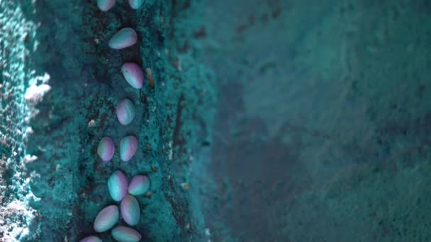 décoration du mur de béton de la maison avec la coque de pistaches 