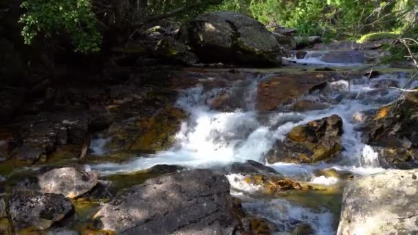 澄んだ水で山の川 木々の間の山の大きな石の上に水が流れる — ストック動画