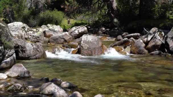 Un arroyo montañoso con aguas claras fluye entre grandes piedras en un bosque . — Vídeo de stock