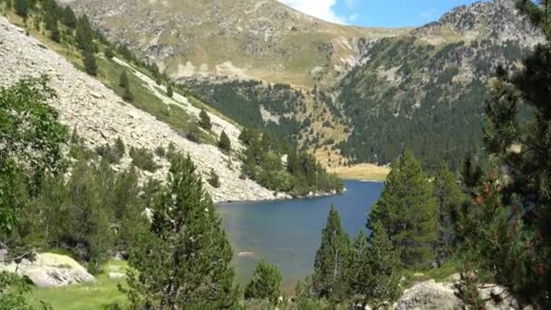 Jezioro w parku narodowym u podnóża gór w sosnowym lesie. — Wideo stockowe