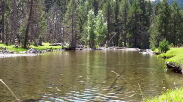 Pequeño lago de bosque en las montañas con agua clara — Vídeos de Stock