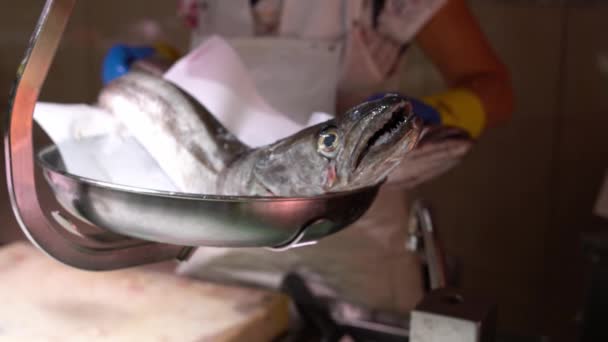 Verkoper weegt verse vis op de markt — Stockvideo