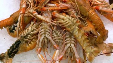 pazarda karda havyar ile karides. taze ve sağlıklı deniz ürünleri