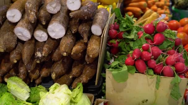 Légumes frais sur un comptoir du marché — Video