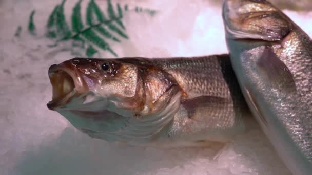Gros plan de poisson frais sur un comptoir de marché dans la neige .