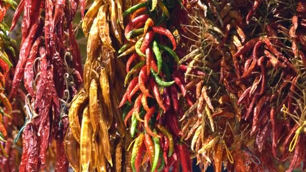 Dried peppers of different colors are dried on a store counter — Stock Video