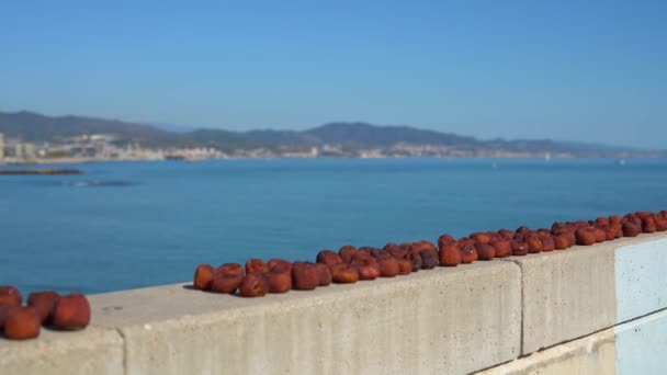 Persimmons are dried on concrete parapet on sea coast. — Stock Video