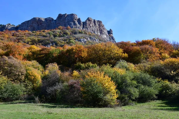 Noordelijke Dimerzhi Herfst Onder Wiew — Stockfoto