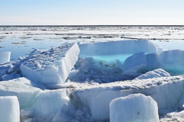 Çeviri: nazo82 Shagrathian