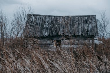bir fırtına önce bir alanda huş kuşu