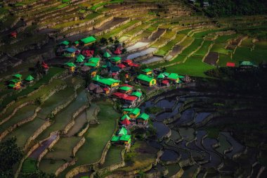 Banaue pirinç terasları görünümü