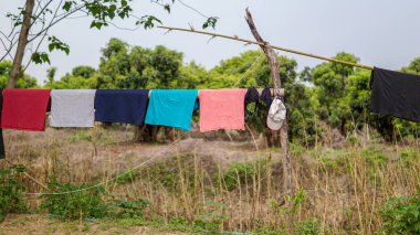 Kampçılar rengarenk giysileri yıkadıktan sonra ormana asarlar.