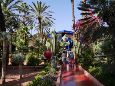 MARRAKECH, MOROCCO - 23 Eylül 2019: Güzel Majorelle Garden, Marakeş 'te Yves Saint Laure tarafından tasarlanan bir botanik, tropikal bahçe ve sanatçının manzara bahçesi.