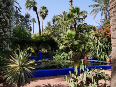 MARRAKECH, MOROCCO - 23 Eylül 2019: Güzel Majorelle Garden, Marakeş 'te Yves Saint Laure tarafından tasarlanan bir botanik, tropikal bahçe ve sanatçının manzara bahçesi.