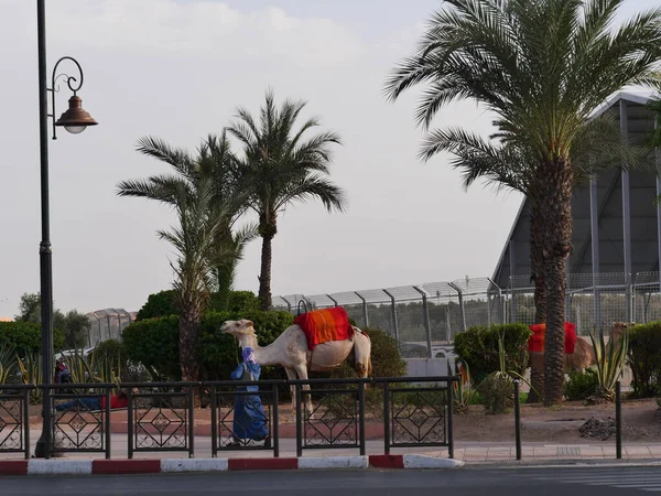 MARRAKECH, MOROCCO - 23 Eylül 2019 Marakeş 'in Medina Mahallesi, Marakeş, Fas. Şehirdeki insanlar ve trafik. Alışveriş, ticaret, turnuva.