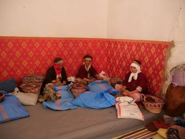 MARRAKECH, FOCCO - 23 Eylül 2019: kadın bir kooperatifte çalışıyor. Argan cevizinden argan yağı üretimi