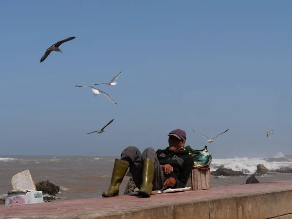 ESSAOUIRA, MOROCCO - 24 Eylül 2019: Essaouira eski kasaba manzarası güneşli bir günde. Limanda ve balıkçılıkta mavi balıkçı tekneleri