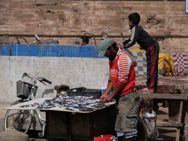 ESSAOUIRA, MOROCCO - 24 Eylül 2019: Essaouira eski kasaba manzarası güneşli bir günde. Limanda ve balıkçılıkta mavi balıkçı tekneleri