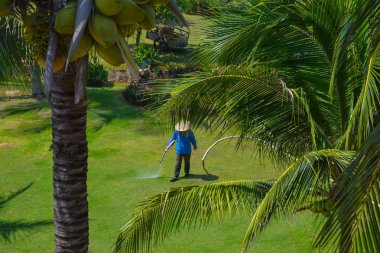Vietnam bahçe güzel görünümü