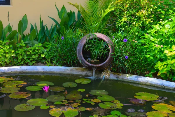 Hermosa Vista Del Jardín —  Fotos de Stock