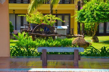 Tropikal bahçenin güzel manzarası