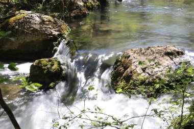 Rusya'da orman yaz akarsu