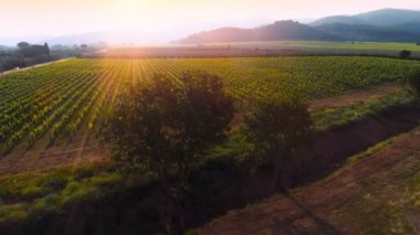 Hava üstgeçidin kadeh günbatımı güzel üzüm bağları güçlü Dağları arka planda görülen.