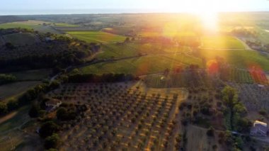 Güzel İtalyan kırsal 's çiftlikleri, üzüm bağları, zeytin ağaçları, ormanları, tepeleri ve alanları ile hava atış.