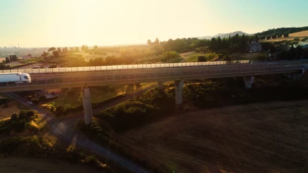 貨物負荷移動する農村地域にそれ上のトラフィックの大規模な橋の上の白いトラックの空中ショットは 背景の美しい風光明媚な自然の中 — ストック動画