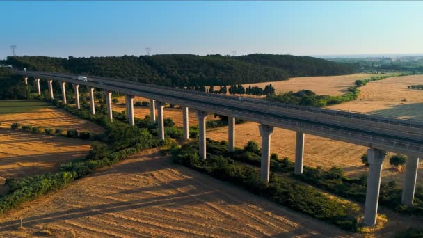 Zdjęcia Lotnicze Biały Ciężarówka Cargo Obciążenia Ciągnąc Moście Massive Ruchu — Wideo stockowe