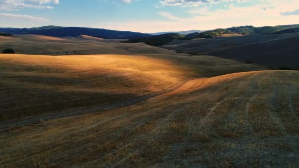 Moving Aerial Shot Harvested Fields Trees Hills Patches Sunlight Seen — Stock Video